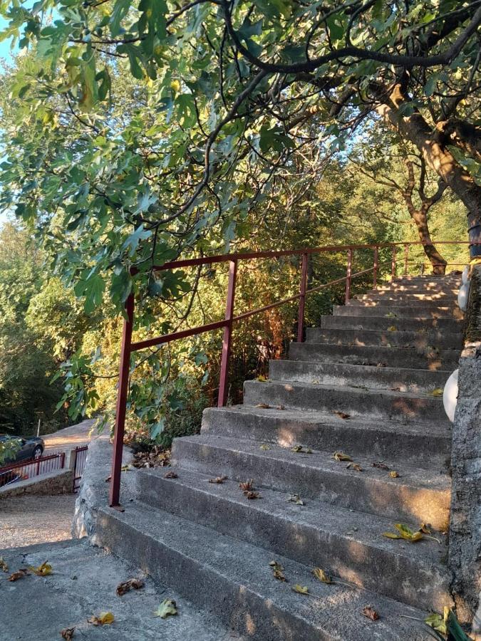 Apartmani Mia Rada Budva Luaran gambar